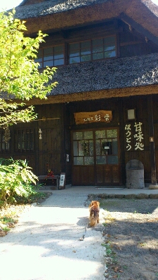 a0227507_11185894.jpg
