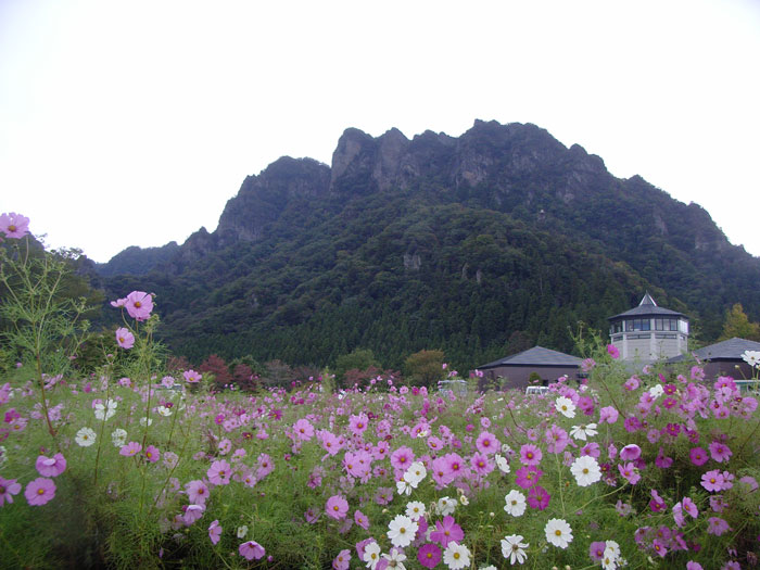 蕗のとう通信51 2012年10月18日(木)_b0129807_17155649.jpg