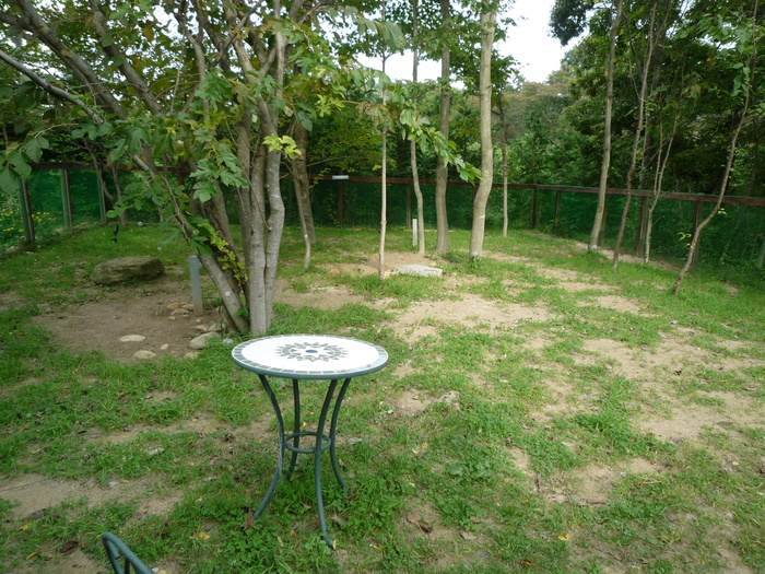 c0120210_21543057.jpg