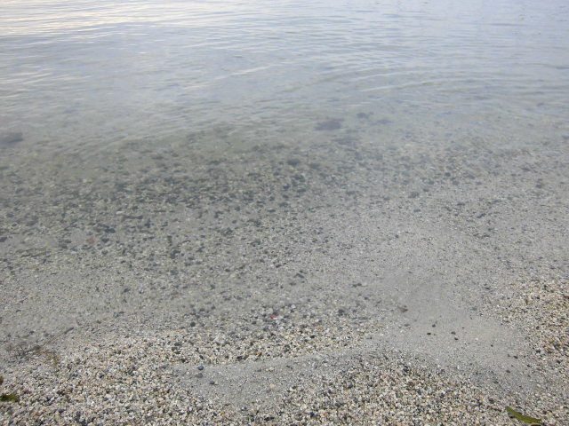 琵琶湖はとてつもなく広い!_f0141310_8162470.jpg
