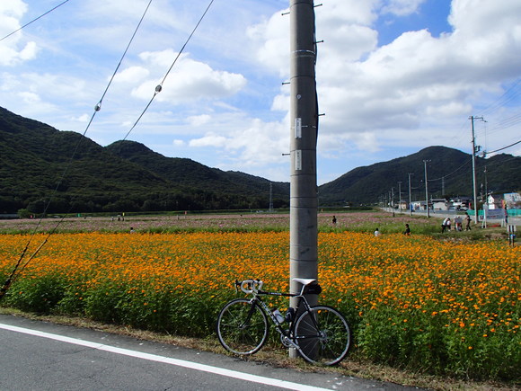 f0219810_2120739.jpg