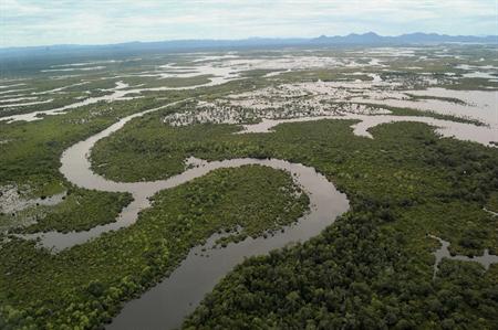 世界の湿地帯、過去100年で半減 国連報告書_b0064113_692116.jpg