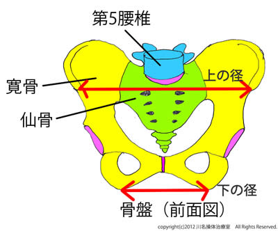 腰痛（坐骨神経痛）_c0116614_1917359.jpg