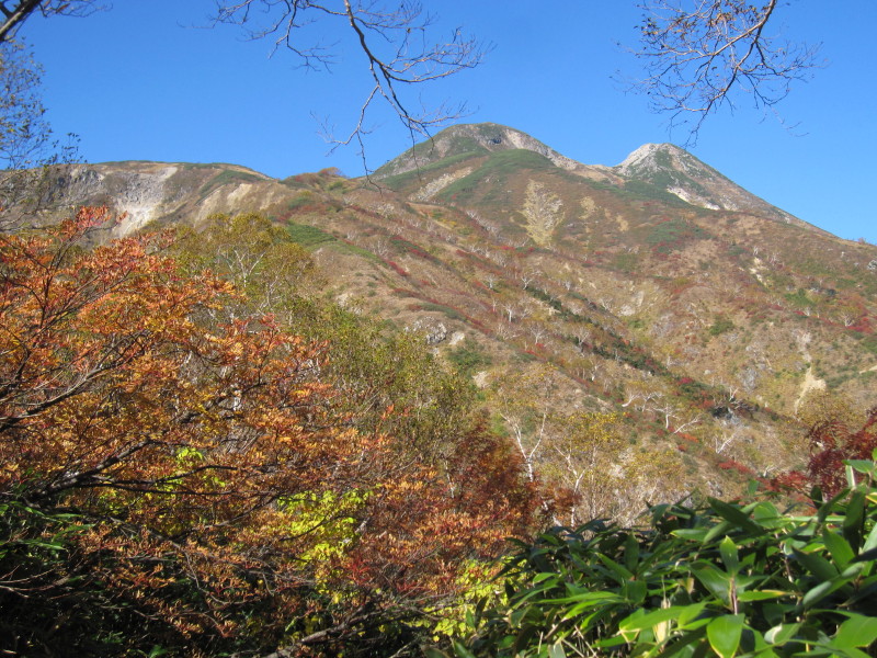 d0103314_03578.jpg