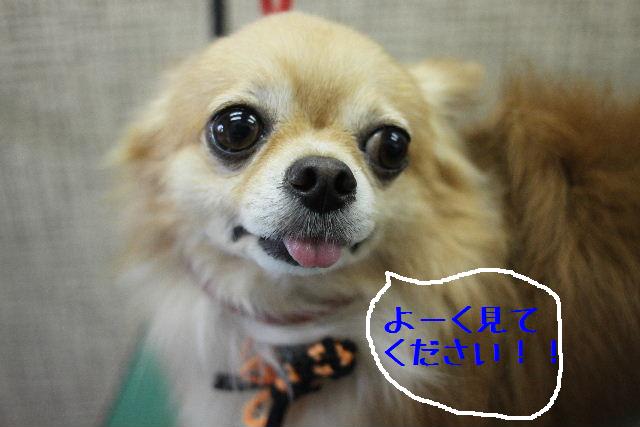 更新できてなくて、すみません！！_b0130018_1874924.jpg