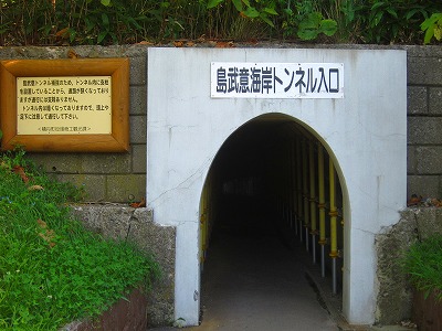 e0224118_21363048.jpg