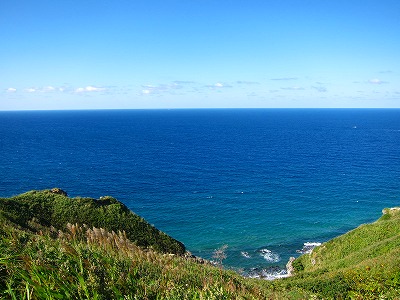 e0224118_21504396.jpg