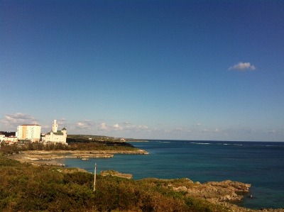 f0097620_1142644.jpg