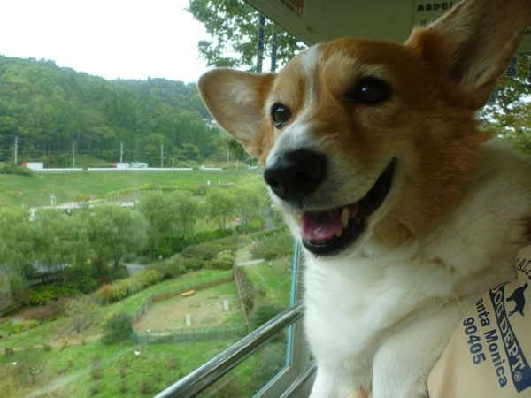 帰ってきました_d0102523_9418100.jpg