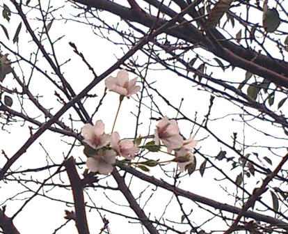 c0109726_14395482.jpg