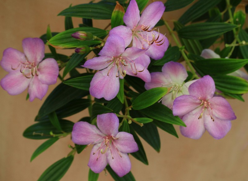 c0104227_83274.jpg