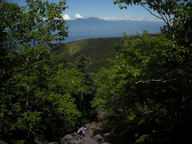 d0102327_20282556.jpg