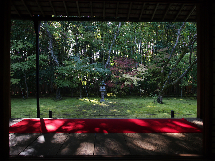 紅葉の大徳寺 －高桐院（色づき初めの頃）－_b0169330_22484464.jpg