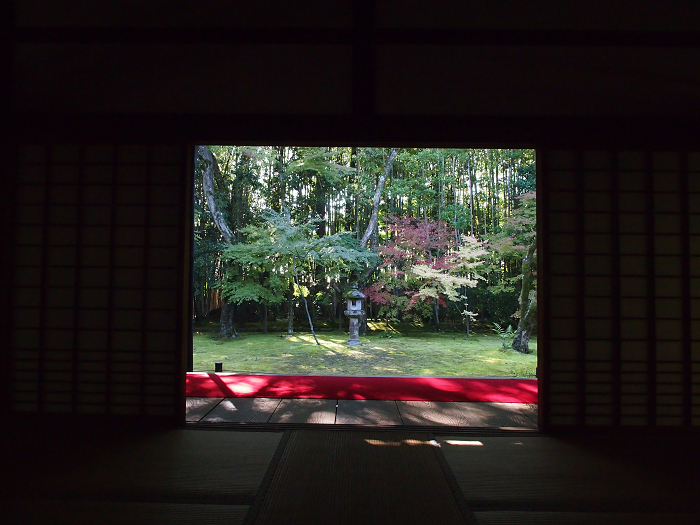 紅葉の大徳寺 －高桐院（色づき初めの頃）－_b0169330_22485374.jpg