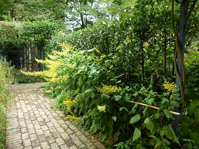 a0076237_20355537.jpg
