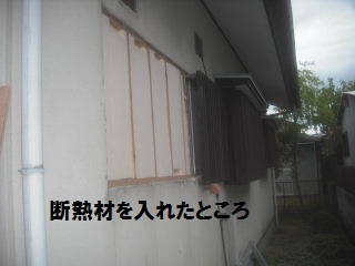 25.5日目の作業_f0031037_214241.jpg