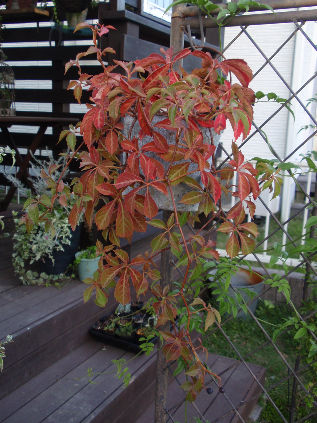 c0248940_849854.jpg