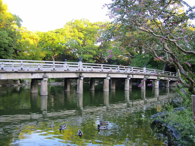 京都御苑を散歩9・29_e0237645_16531885.jpg