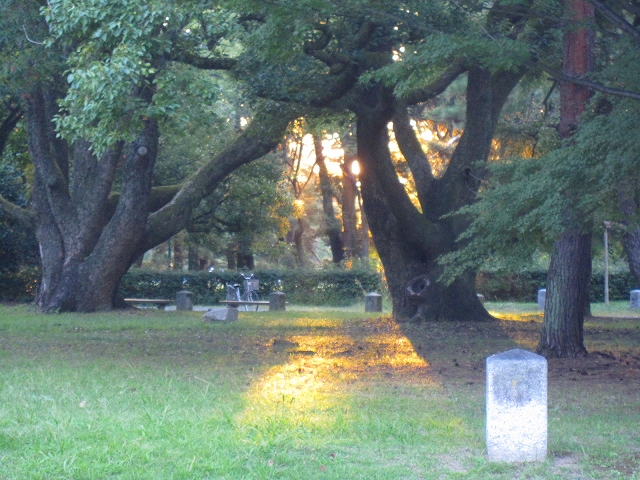京都御苑を散歩9・29_e0237645_16554944.jpg