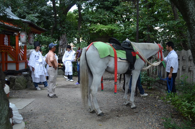 京都春日神社「春日祭」神輿巡行_e0237645_17162773.jpg