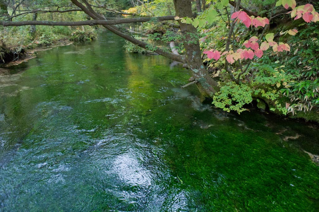b0023047_4322481.jpg
