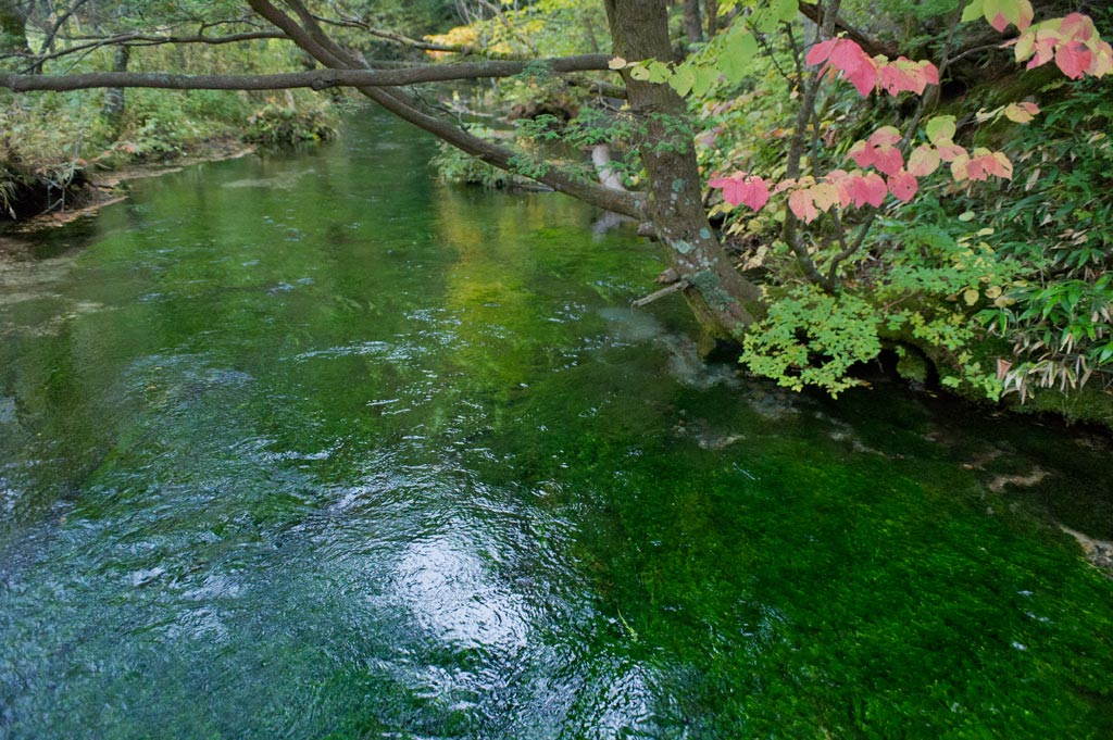 ◆上高地　長野県松本市安曇_b0023047_4322481.jpg