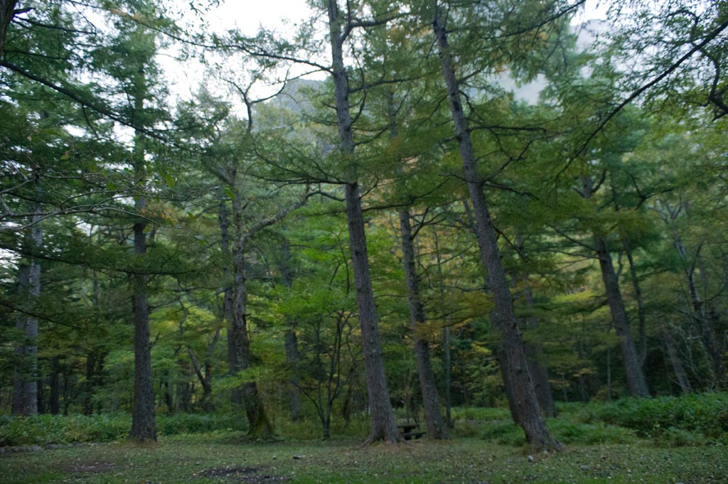 ◆上高地　長野県松本市安曇_b0023047_4324547.jpg