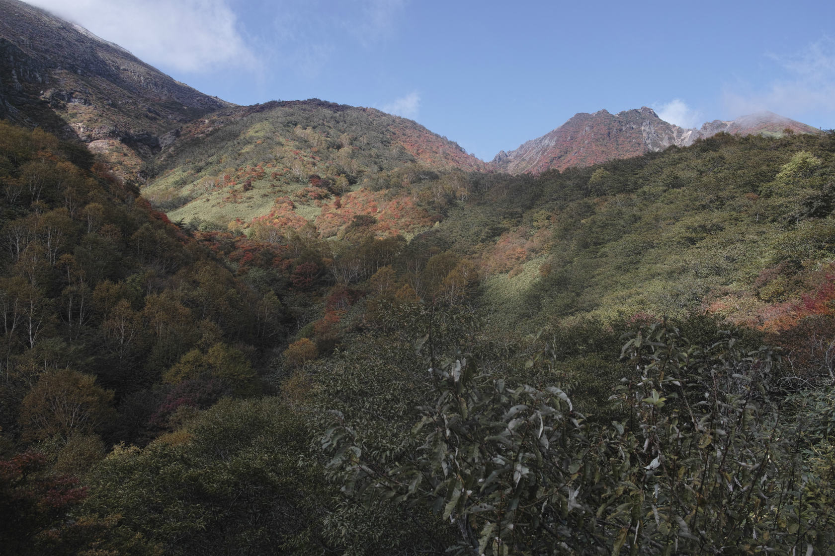 天気は選べない：今日は雨　那須茶臼岳_c0008948_2350482.jpg