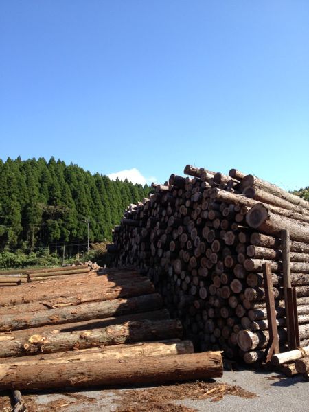 杉材の産地『山都町』へ_e0002951_1054268.jpg