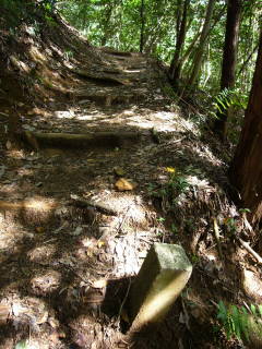 c0223259_10532151.jpg