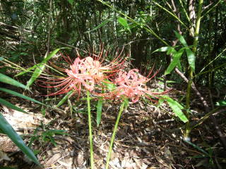 c0223259_10534626.jpg