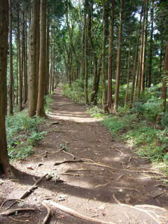c0223259_1054257.jpg