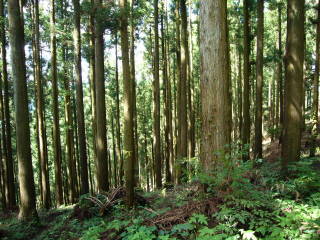 c0223259_1054885.jpg