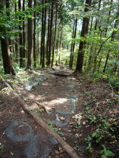 c0223259_10555549.jpg
