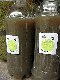 f0035962_9184520.jpg