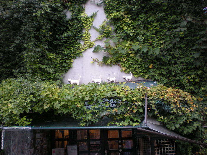 e0003465_8422529.jpg