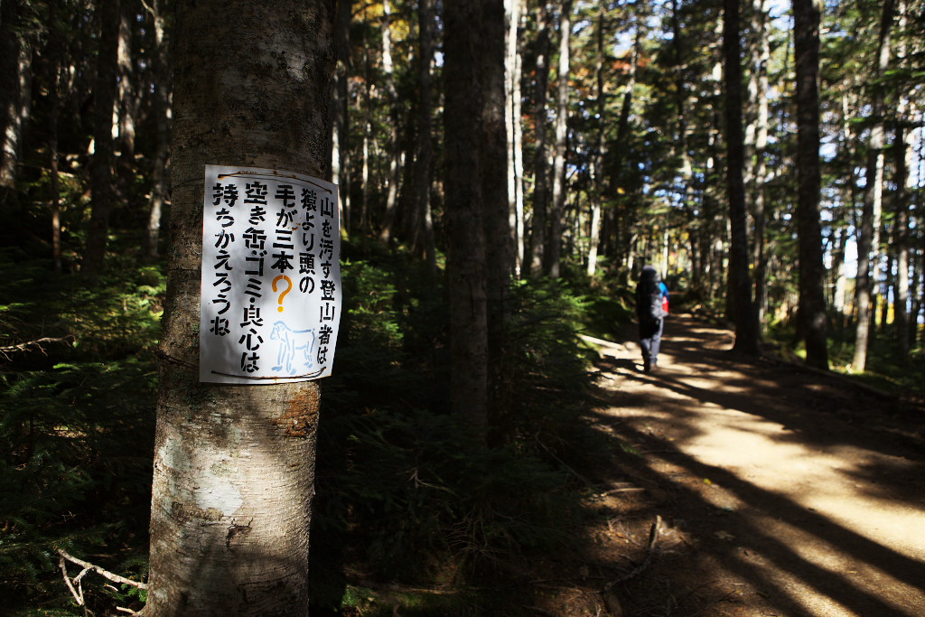 南ア・鳳凰三山縦走（夜叉神～広河原） 1日目_f0171065_21585227.jpg