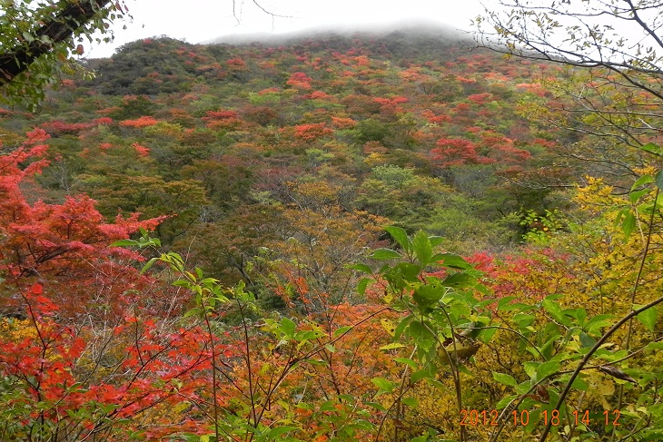 大船山、男池、黒岳山麓の紅葉_f0016066_2231239.jpg