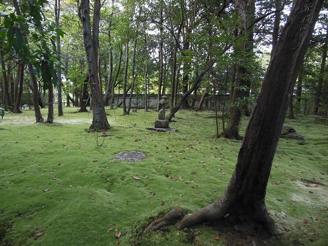 京都&奈良_e0040673_1024935.jpg