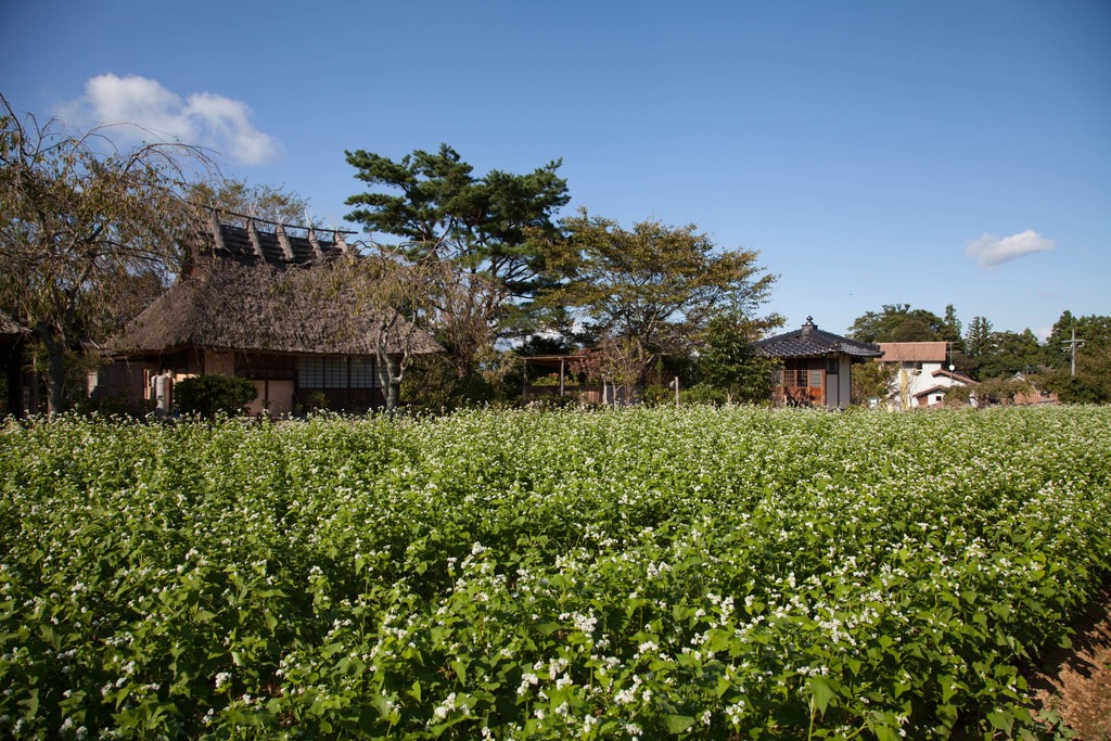 9/23　岡山・普門寺　②_e0174074_557653.jpg