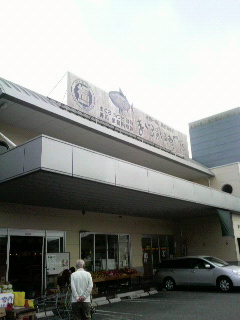 f0228680_918118.jpg