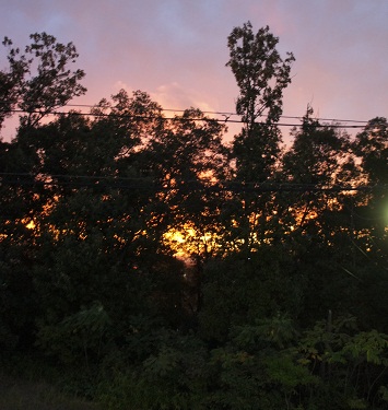 f0231084_1738555.jpg