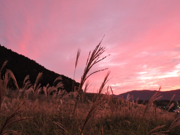 e0241285_1749773.jpg