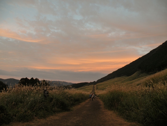 e0241285_1751275.jpg