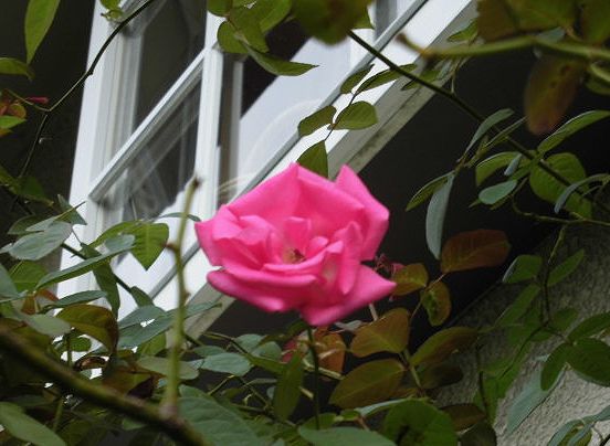 b0091187_2241344.jpg