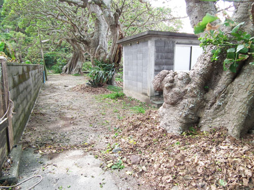 台風21号の置き土産_e0028387_22394270.jpg
