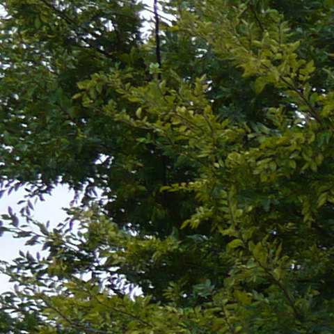 b0174191_22252850.jpg