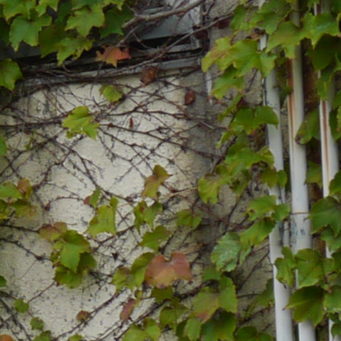 b0174191_22255370.jpg