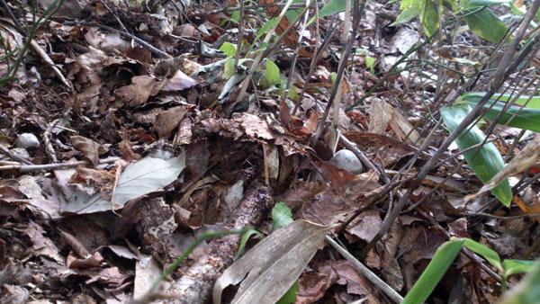 f0236291_9181669.jpg