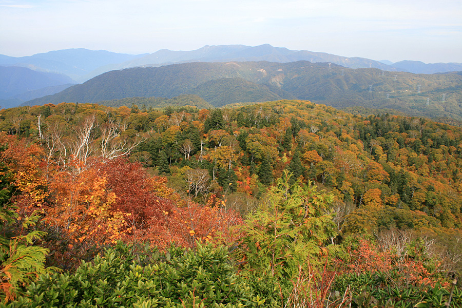 天生湿原・籾糠山・・・２_e0108592_2391029.jpg